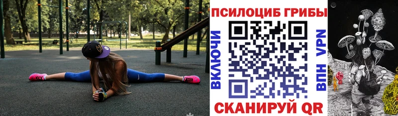 Псилоцибиновые грибы Psilocybe  как найти   Саки 