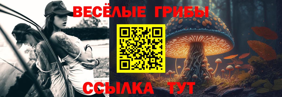 Галлюциногенные грибы Cubensis  Вход с VPN  где купить наркоту  Саки 